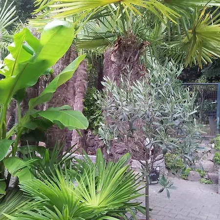 Gastehaus Palme 招待所 巴特塞京根